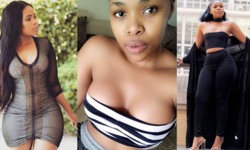 Nozipho Zulu's Biography and Photos